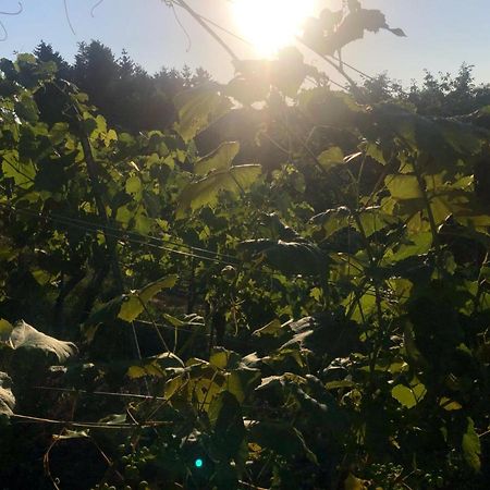 Winzerhaeuschen Kern Διαμέρισμα Fehring Εξωτερικό φωτογραφία