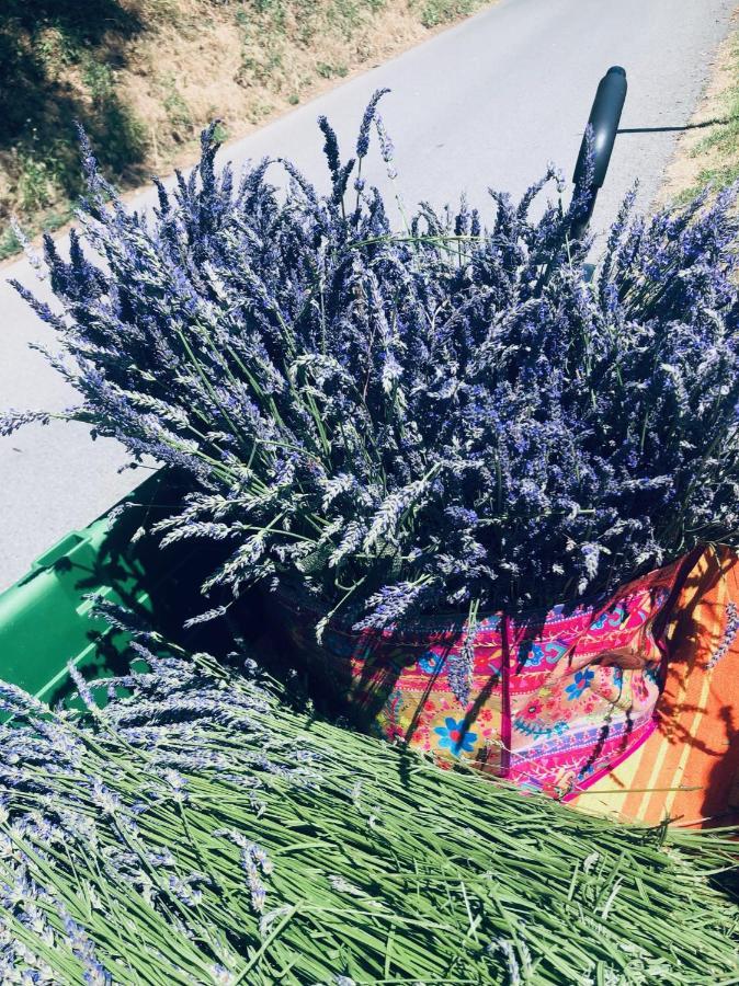 Winzerhaeuschen Kern Διαμέρισμα Fehring Εξωτερικό φωτογραφία